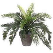 Cycas palm green in pot Stan grey d13,5cm - h37xd44cm