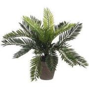 Cycas palm green in pot Stan grey d11,5cm - h33xd34cm