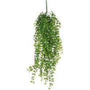 Ficus hanging green - l81xw24xh10cm