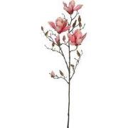 Magnolia pink - l88cm