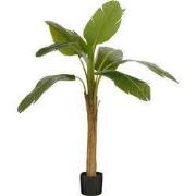 Banana tree in pot green - h155xd90cm