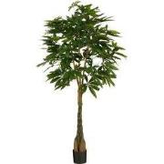 Pachira in pot green - h150xd65cm