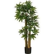 Pachira tree green - h175xd85cm