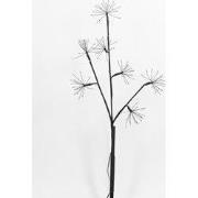 Led Firework Branch 60Cm/7X20Led Classic Black Branch - 4,5V