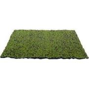 Kunst mos mat groen-bruin 70X50 cm kerst