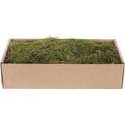 Platmos Groen-Bruin 500G kerst