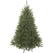 Bristlecone x-mas tree green TIPS 686 - h185xd119cm