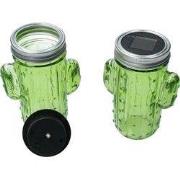 Cactus solar lamp set 2 stuks