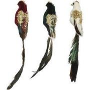 Vogel pes fluweel l4b5h28cm a3