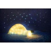 Led Indoor Canvas 38X58Cm 42 Fiber Optic Stars + Lighte