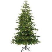 Balsamea fir Micro LED indoor II