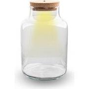 URBANJNGL - Terrarium fles - 'Milky' met LED-belichting - Gesloten ter...