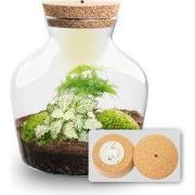 URBANJNGL - Little Joe - Planten Terrarium met licht - DIY kit - Ecosy...