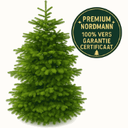 Plant&More - Nordmann Kerstboom 240 -270 cm - Zonder Kluit + Garantie ...