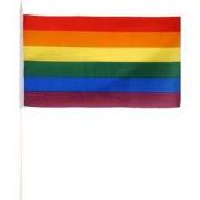Henbrandt - 50 STUKS Regenboog Gay Pride LGBTQ+ Handvlaggen (29 Cm x 1...