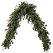 Cypress slinger d20l165h10 cm groen