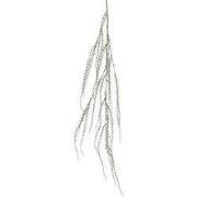 Spray plastic L20b6h140 cm champagne