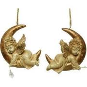 Engel poly l6b10h12.5cm gd antk a2