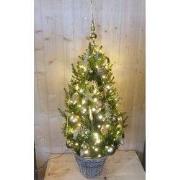 Echte kerstboom in mand met verlichting goud h130