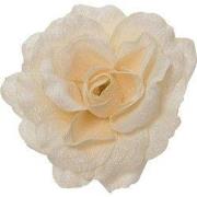 Roos polyester d12h7 cm creme