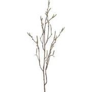 Kunsttak Betula creme