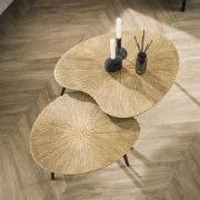 Hoyz Collection - Salontafel Set-2 Niervormig Ray - Brons/Goud Metaal