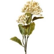 Clayre & Eef Kunstbloem 53 cm Beige Kunststof