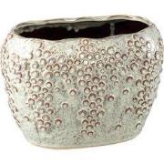 PTMD - Pot Avis - Beige - 28x18x20.5cm