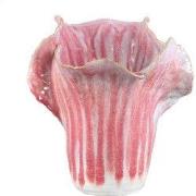 PTMD - Pot Swing - Roze - 28.5x27x29.5cm