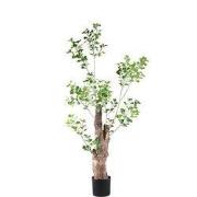 PTMD - Kunstplant Tree - Groen - 80x80x180cm