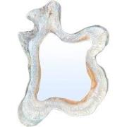 PTMD - Spiegel Hyro - Beige - 50x10x55cm