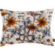 PTMD - Sierkussen Helenor - Beige - 60x3x40cm