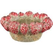 PTMD - Schaal Fruitsy - Rood - 25x25x10.5cm