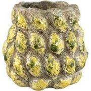 PTMD - Pot Fruitsy - Geel - 21.5x21.5x20.5cm