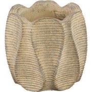 PTMD - Pot Waxy - Bruin - 20x20x18cm