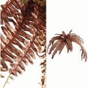 PTMD - Kunstblad Fern - Bruin - 94x94x104cm