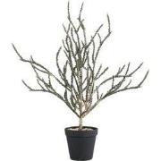 PTMD - Kunstblad Leaves - Groen - 37x46x50cm