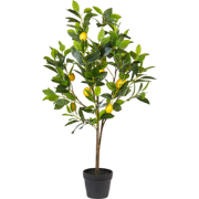 LEMON TREE - Kunstplant - Groen - 105 cm - Synthetisch materiaal