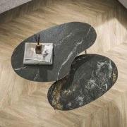 Niora Niervormige Salontafel Set van 2 Keramiek Fossil Black
