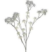 Spray plastic l73b20h6 cm wit