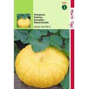 2 stuks - Pompoenen Geelvlezige Centenaars