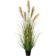 Kopu® Kunstplant Pluimgierst 122 cm - 5 halmen - in zwarte pot