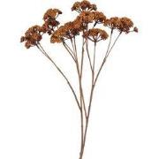 Kunstbloem Eupatorium L lichtbruin