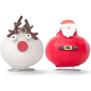 Amaryllis - Set van 2 - Hippeastrum 'Wax special Santa Mix'