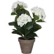 Mica Decorations Hortensia Kunstplant in Bloempot Stan - H40 x Ø35 cm ...