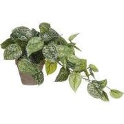 Mica Decorations Scindapsus Kunstplant in Bloempot Stan - H44 x Ø17 cm...