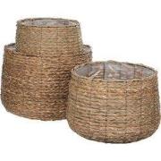 Mica Decorations Avalon Plantenmand - Set van 3 - H32 x Ø44 cm - Zeegr...