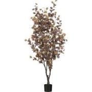 Mica Decorations Eucalyptus Kunstplant in Bloempot - H180 x  Ø80 cm - ...