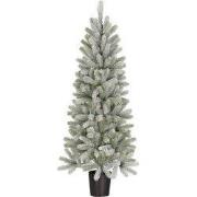 Black Box Trees Nagoya kerstboom groen frosted 212 TIPS - h120xd60cm