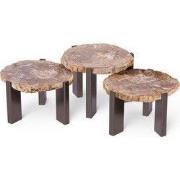 PTMD Rudi Natural Petrified Wood Coffeetable Nickel SV3